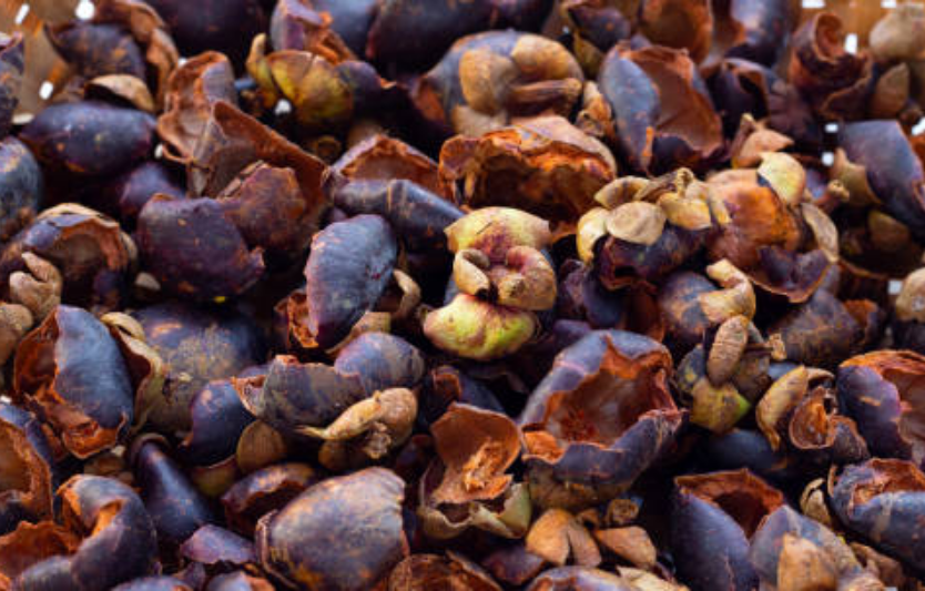 Що таке кава Каскара користь і способи приготування